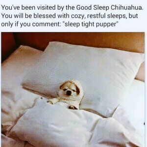 Meet your Posher, Max